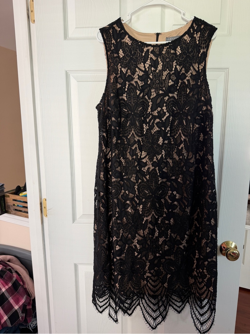 Sharagano Black Lace Dress with Nude Lining